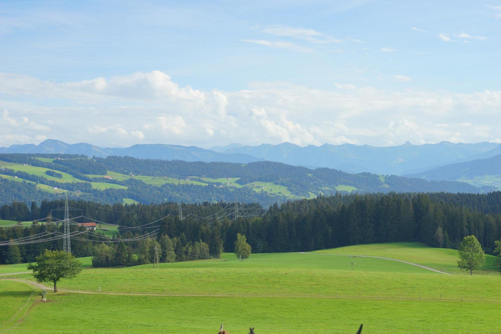 Relax-Red Mit Pool Und Sauna Scheidegg Esterno foto